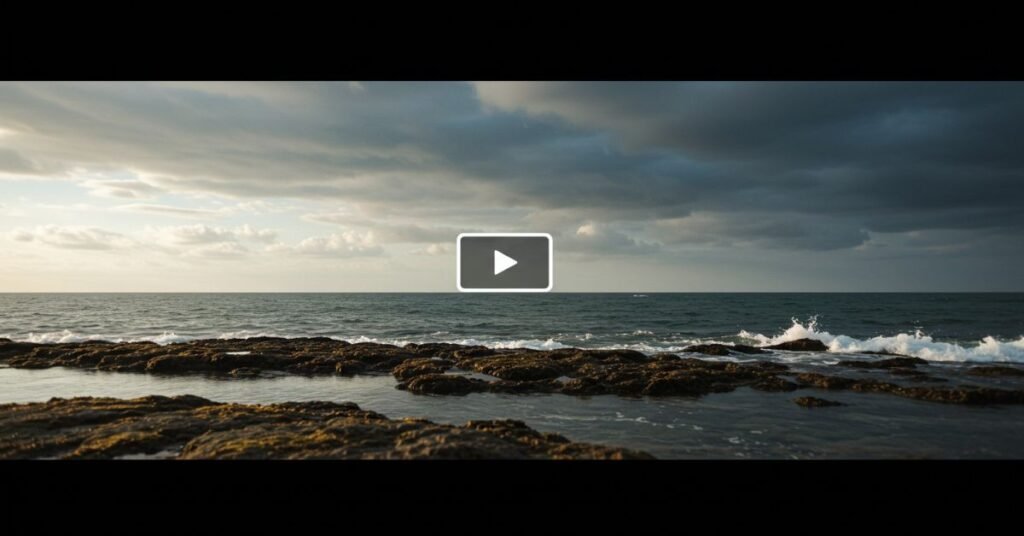 Vidnoz Image to Video